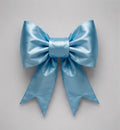 Baby Blue Satin Finery